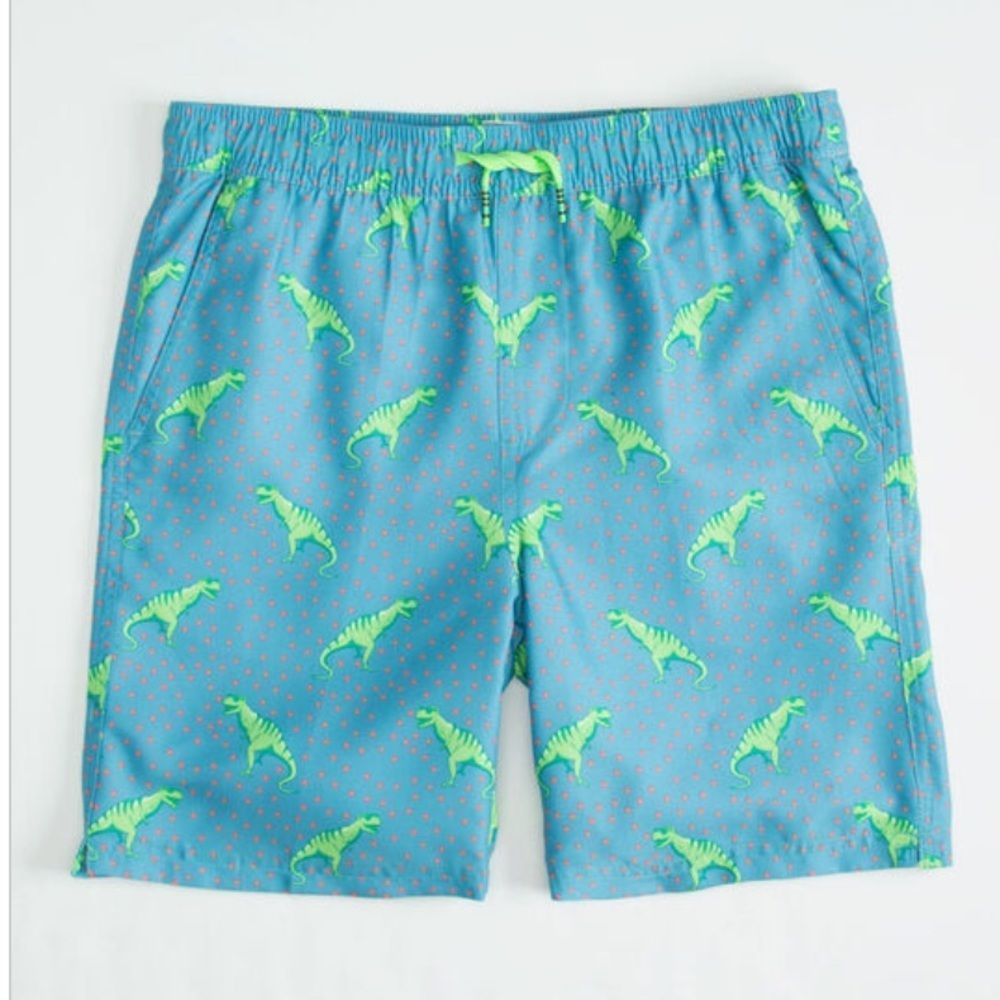 CYA Rexxin Boy’s Volley Shorts 🦖